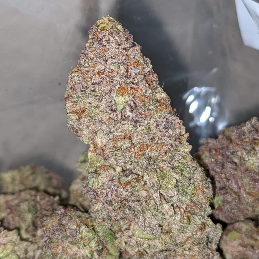 la kush pop 2 I LA Kush Pops