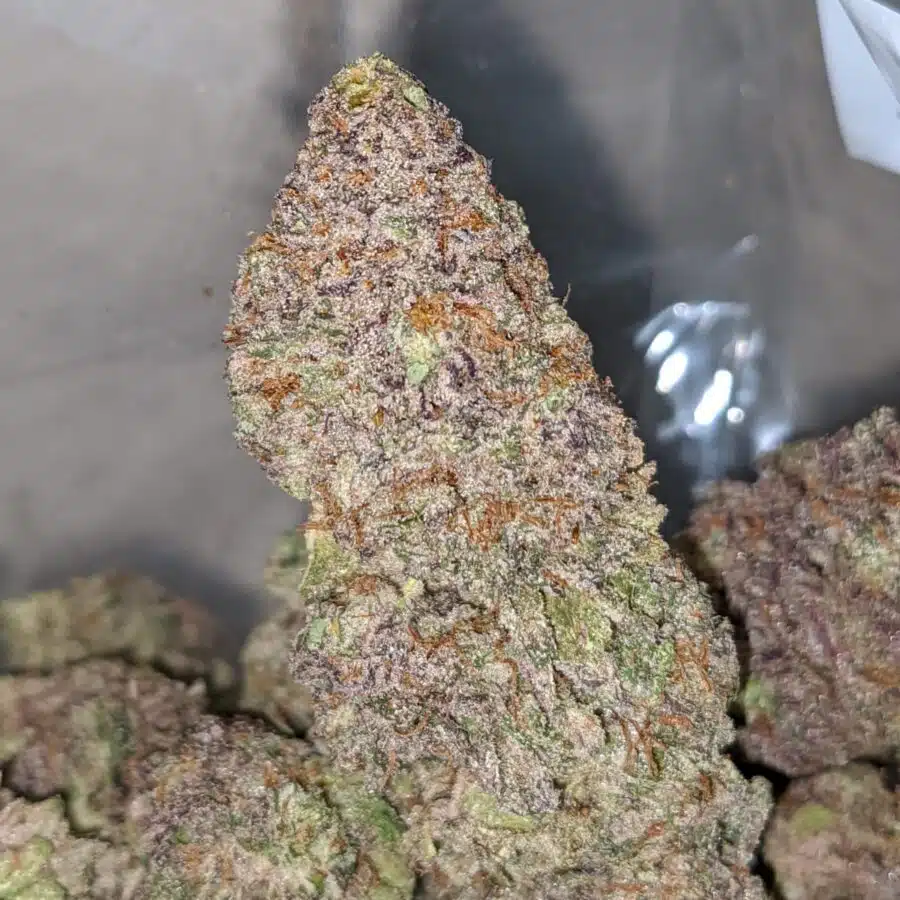 la kush pop 2 I LA Kush Pops