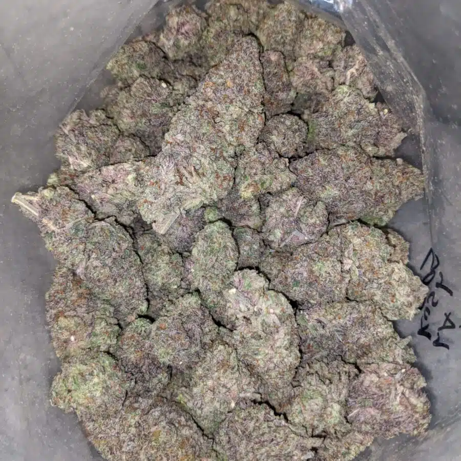 la kush pop 4 I LA Kush Pops