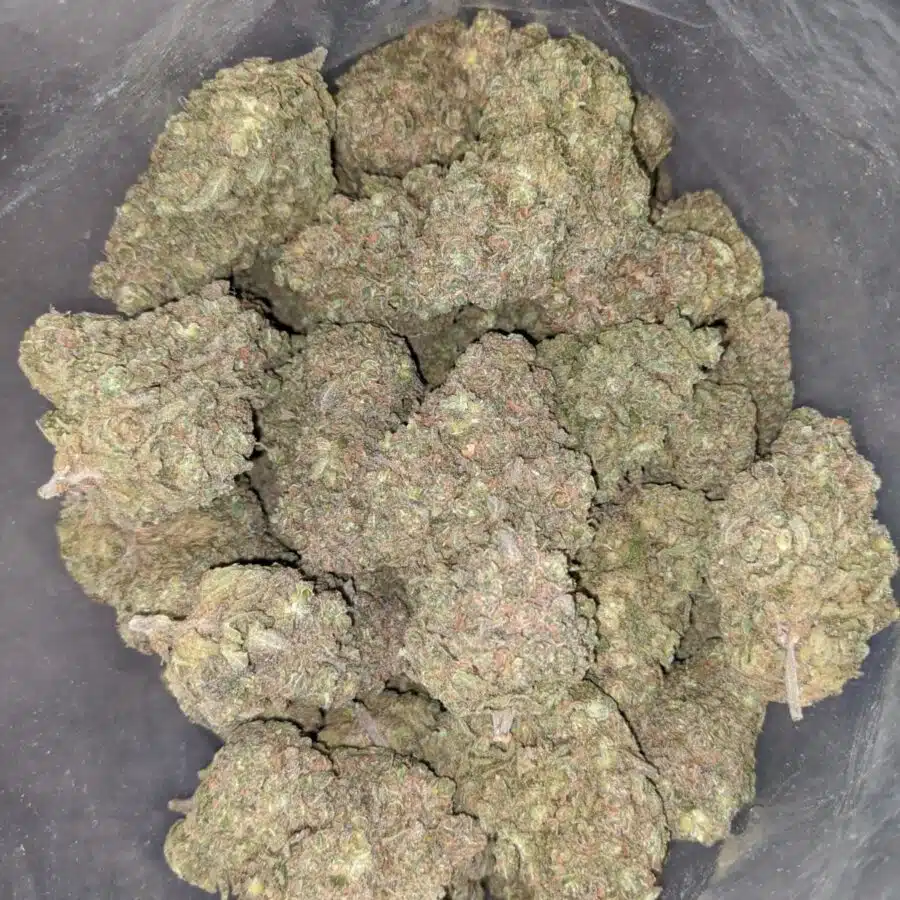 mimosa cookies 2 I $ 79 Oz - Mimosa Cookies