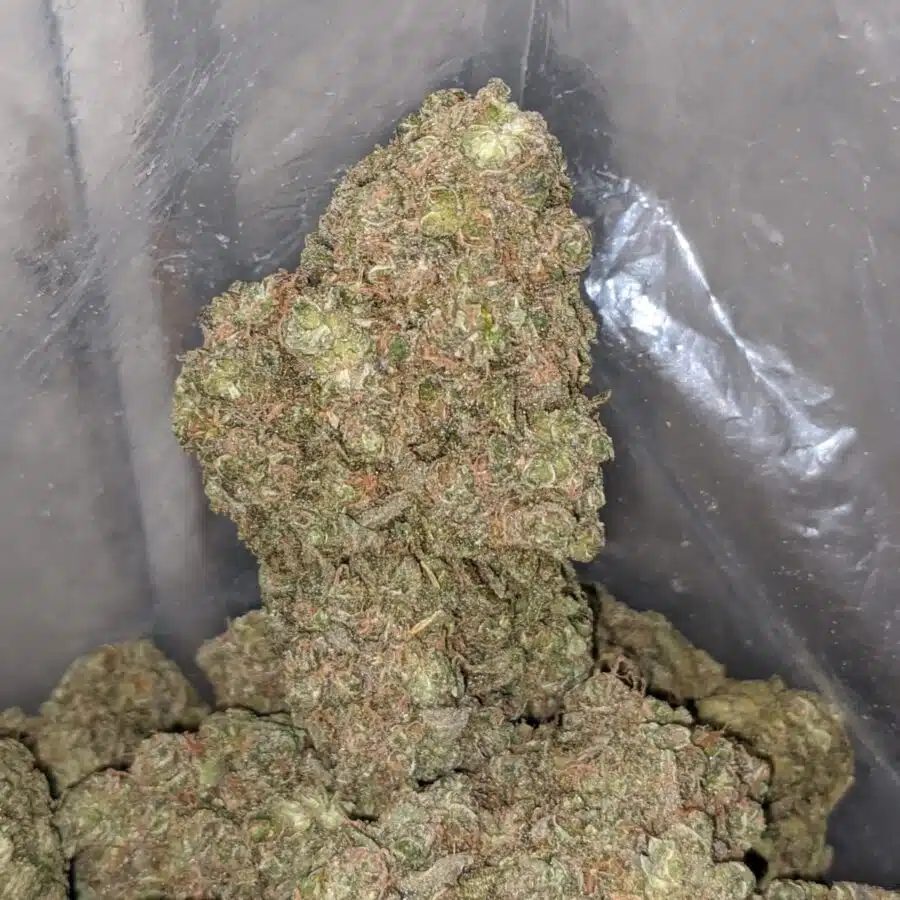 mimosa cookies 3 I $ 79 Oz - Mimosa Cookies