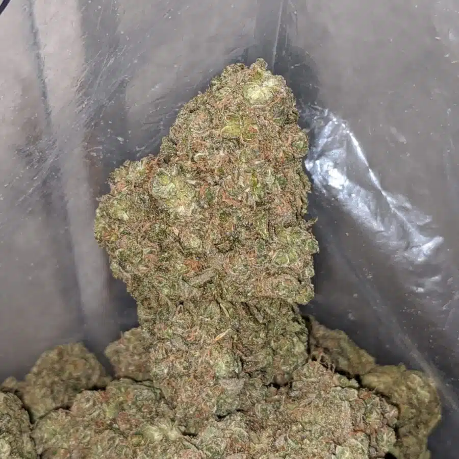 mimosa cookies 4 I $ 79 Oz - Mimosa Cookies