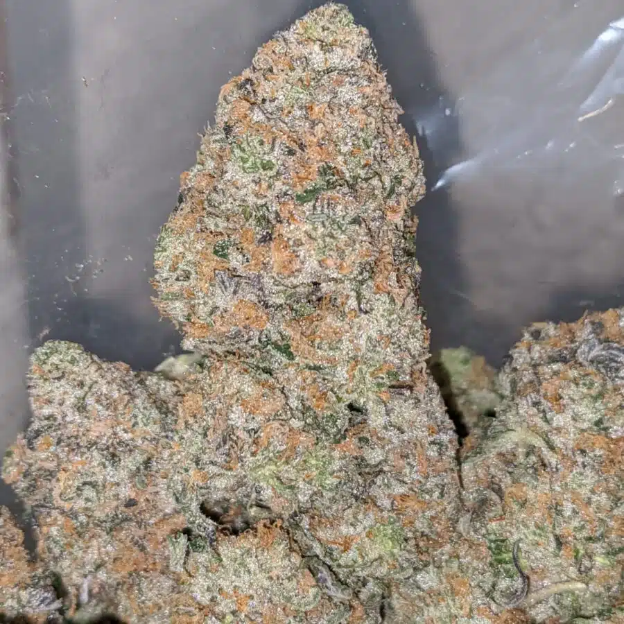orange crack aaa 1 I Orange Crack AAA+