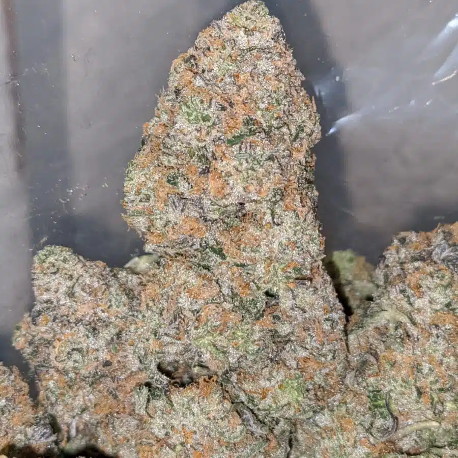 orange crack aaa 2 I Orange Crack AAA+