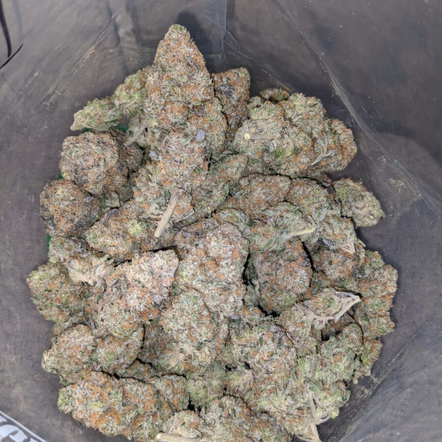 orange crack aaa 3 I Orange Crack AAA+