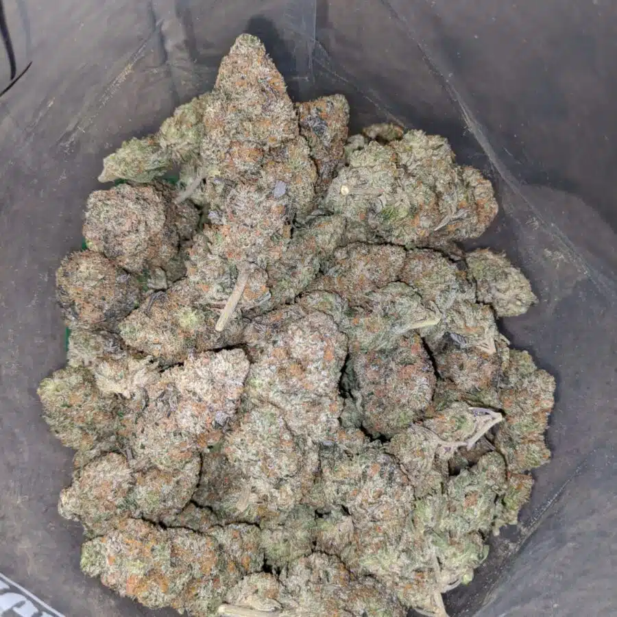 orange crack aaa 3 I Orange Crack AAA+