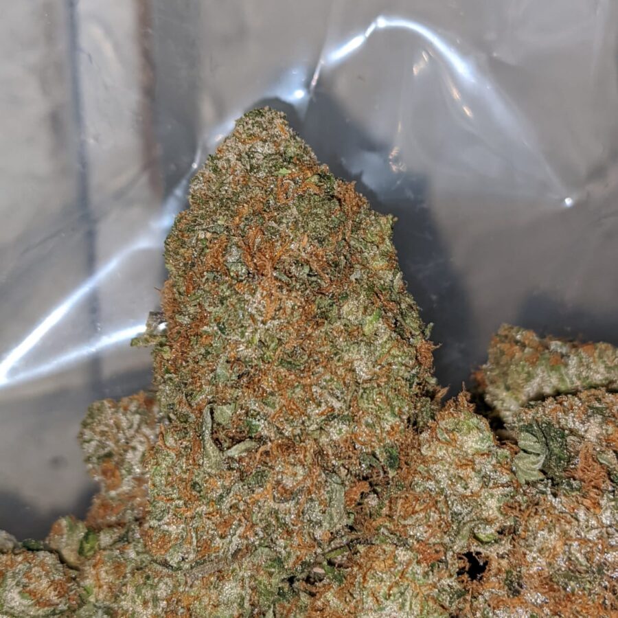 Pink Star - Image 5