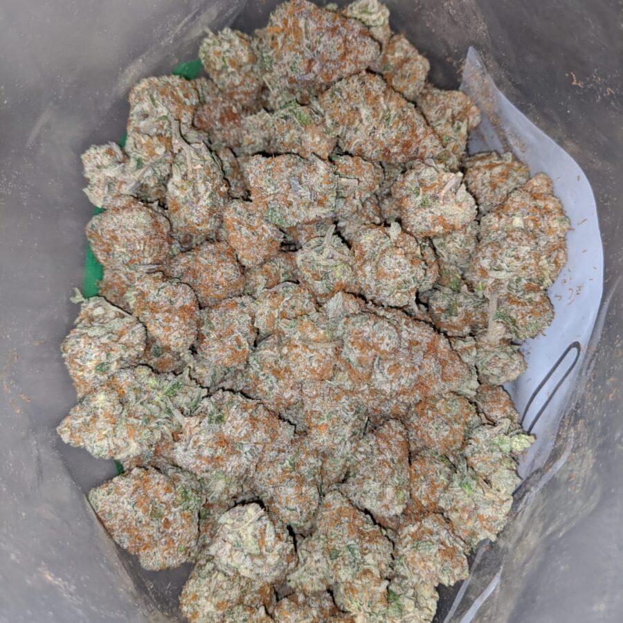 platinum girl scout cookies 3 I Platinum Girl Scout Cookies