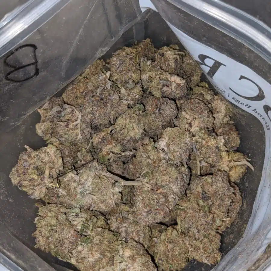 purple poison bulk special 1 I Purple Poison Bulk Special