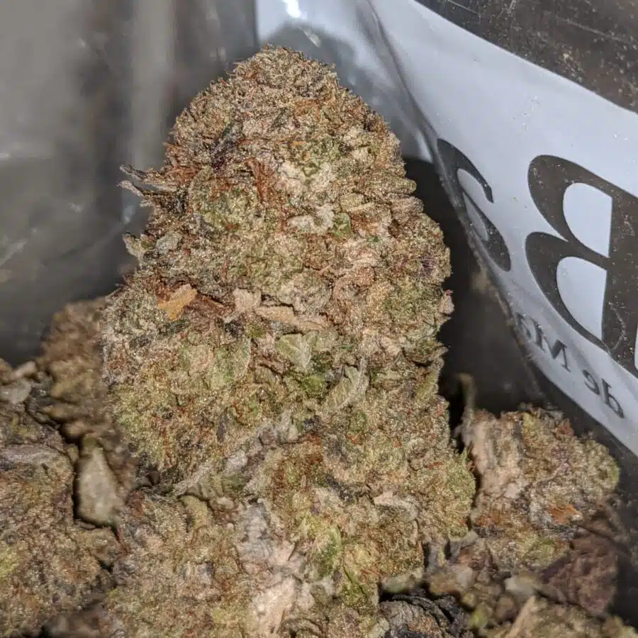 purple poison bulk special 2 I Purple Poison Bulk Special