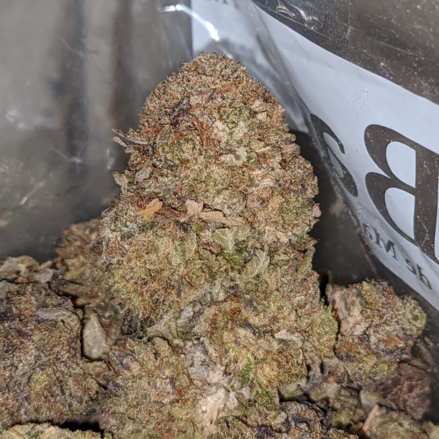 purple poison bulk special 3 I Purple Poison Bulk Special