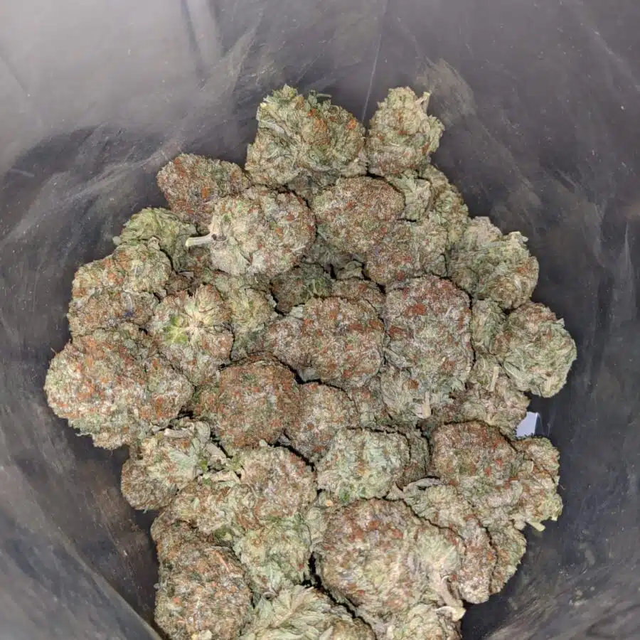 tht 3 I Tony's High THC Indica