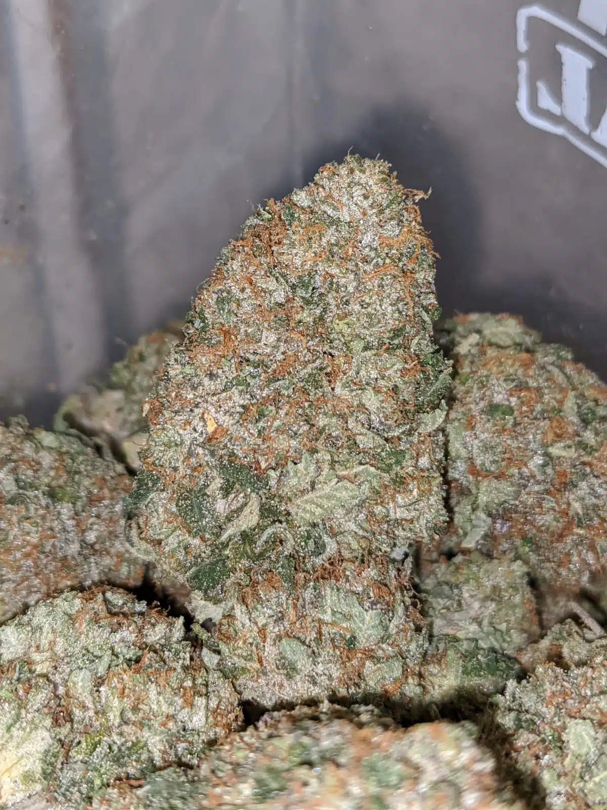 Tony's Pink Tuna - Image 5
