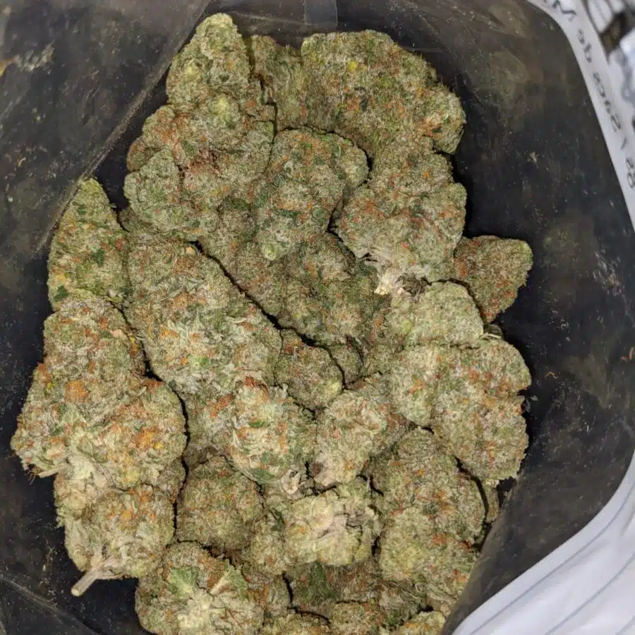 $ 69 oz - Pineapple Gelato