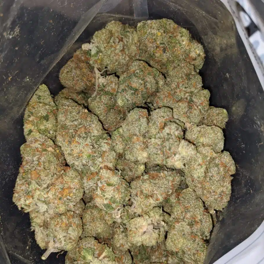 zedd 2 I $ 69 oz - Pineapple Gelato