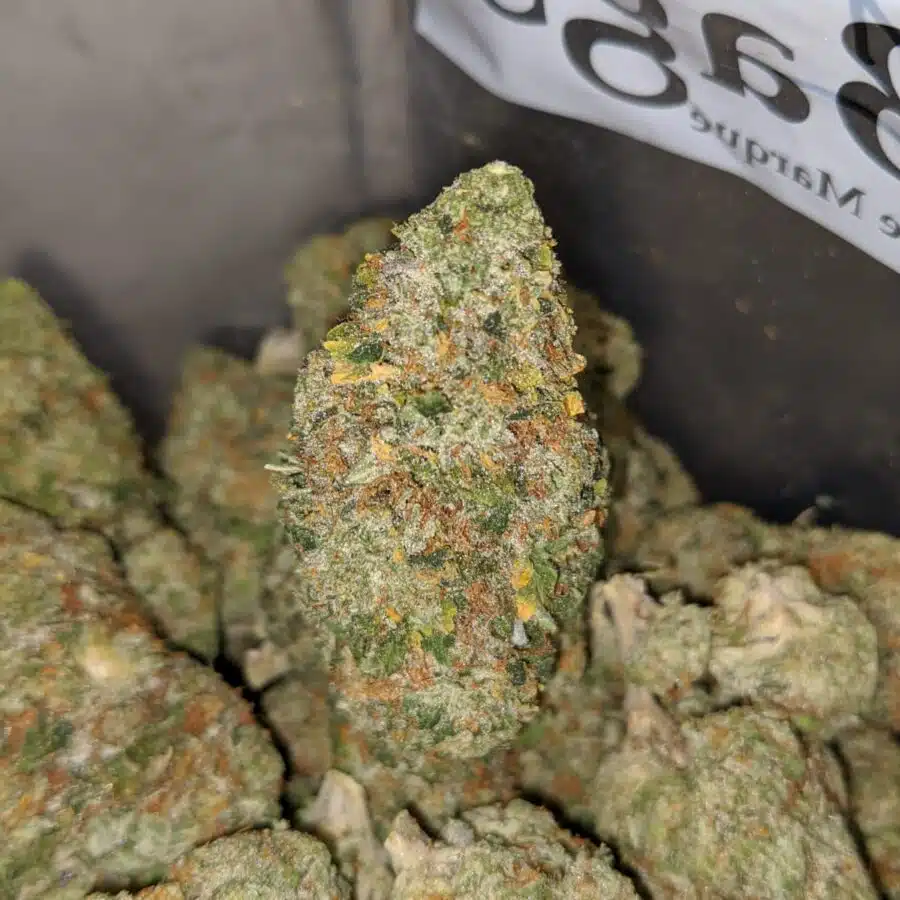 zedd 3 I $ 69 oz - Pineapple Gelato