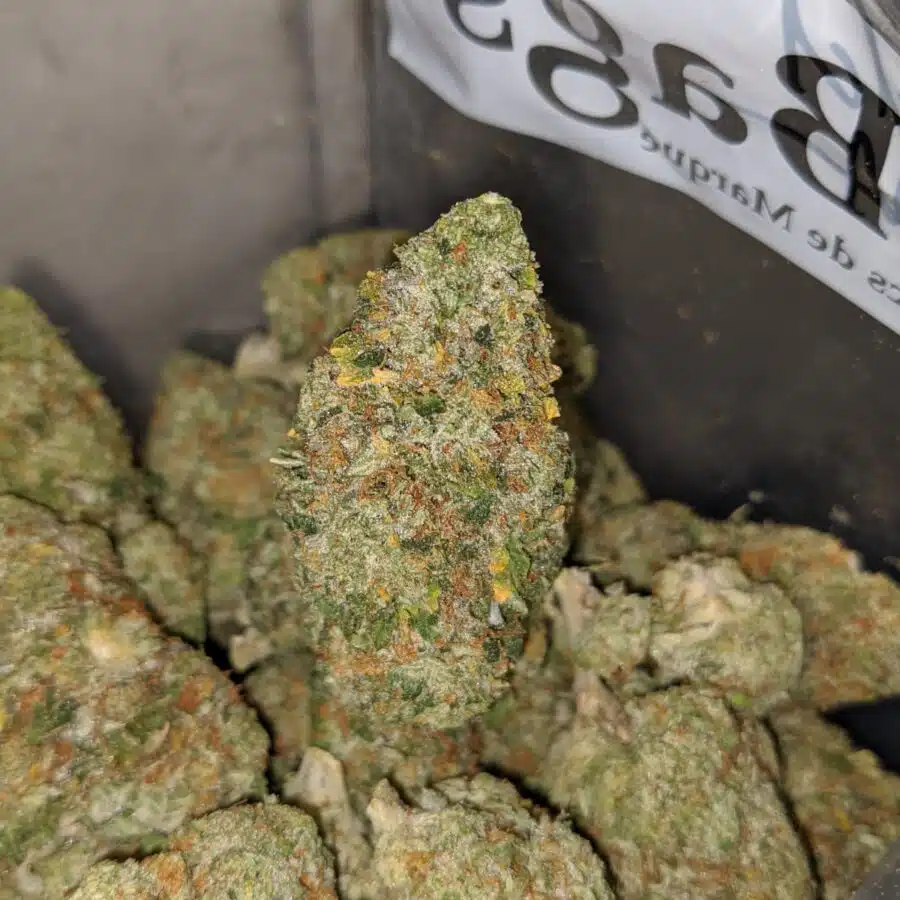 zedd 4 I $ 69 oz - Pineapple Gelato