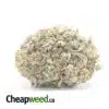 $100 OG