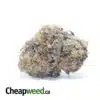 Black Cherry Rocket