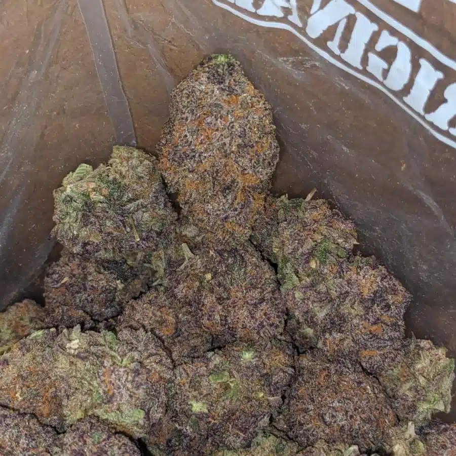 Black Domina 4 I Black Domina