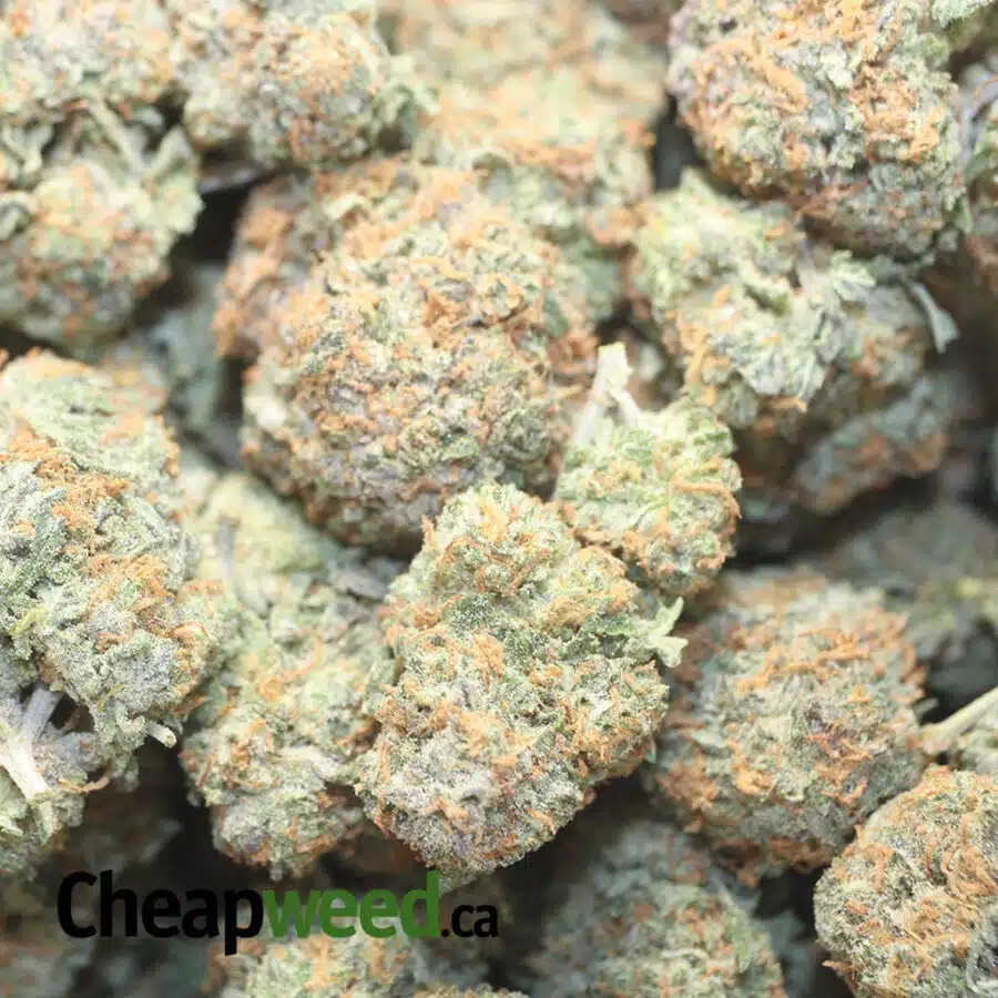 CALI DREAM 1 I $65 Oz - California Dream
