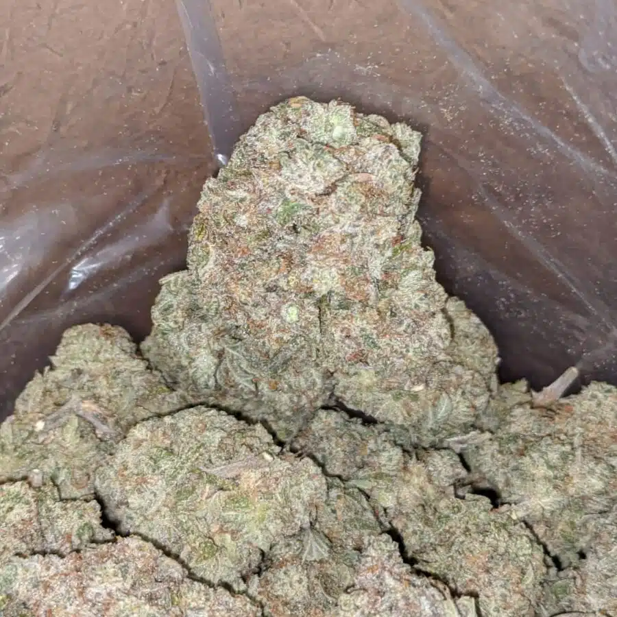 Cosmic kush 1 I Cosmic Kush