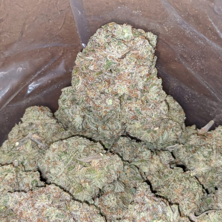 Cosmic kush 4 I Cosmic Kush
