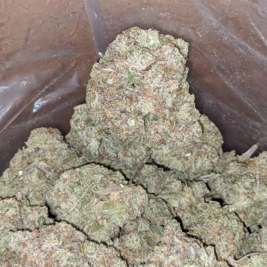 Cosmic kush 4 I Cosmic Kush