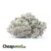 Darth Vader OG AAAA+