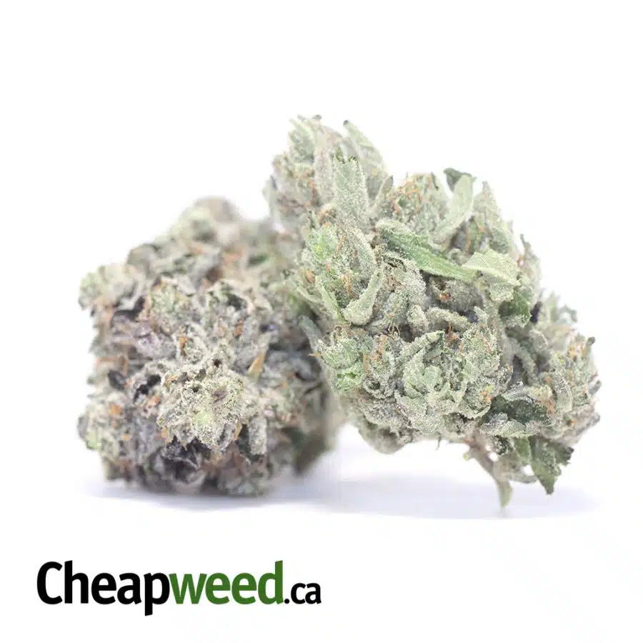 DARTH VADER OG AAAA 3 I Darth Vader OG AAAA+