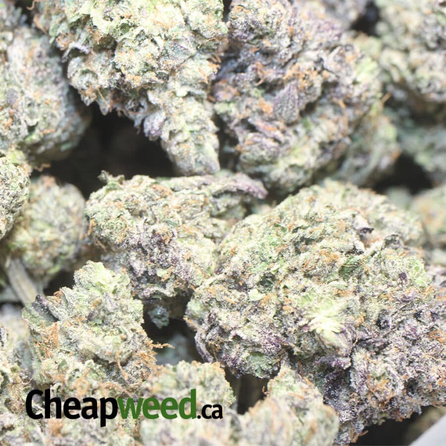 DB AAAA 1 I Green Valley Death Bubba