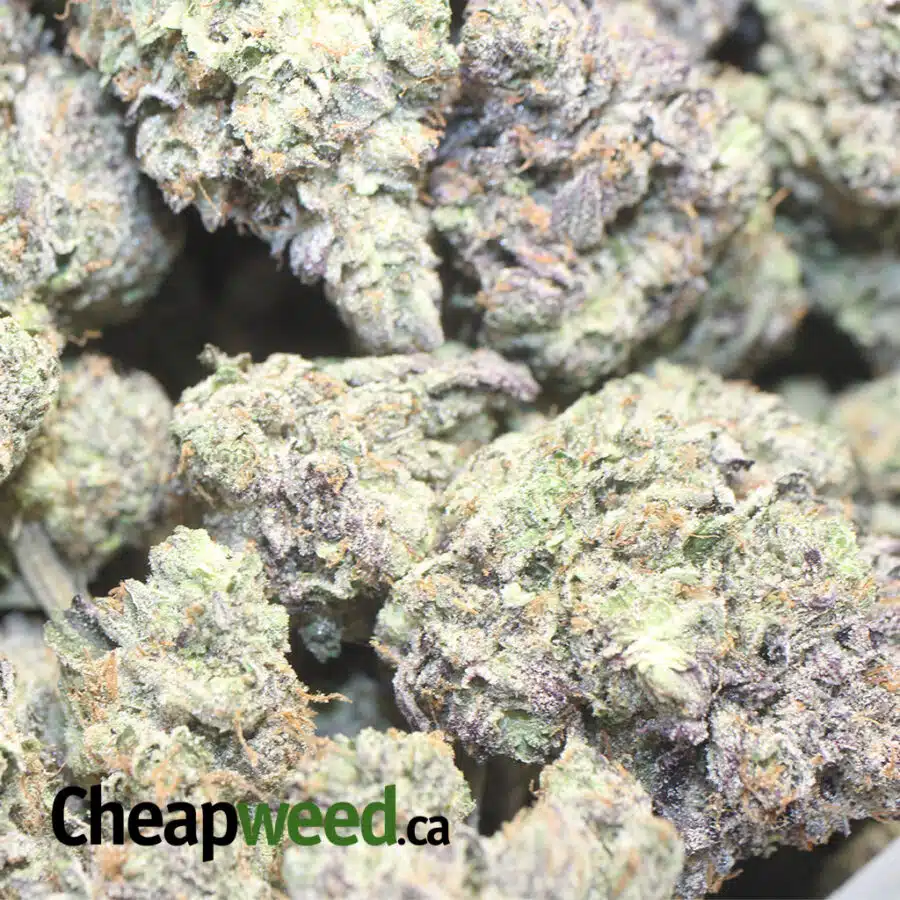 DB AAAA 1 I Green Valley Death Bubba