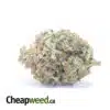 Emma's Gas Bubba