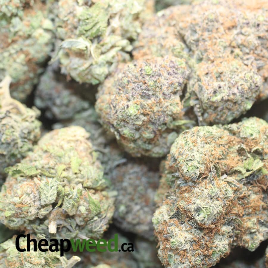 Forbidden Fruit AAA - Image 3