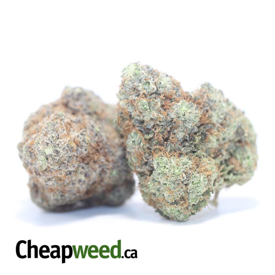 Forbidden Fruit AAA - Image 2