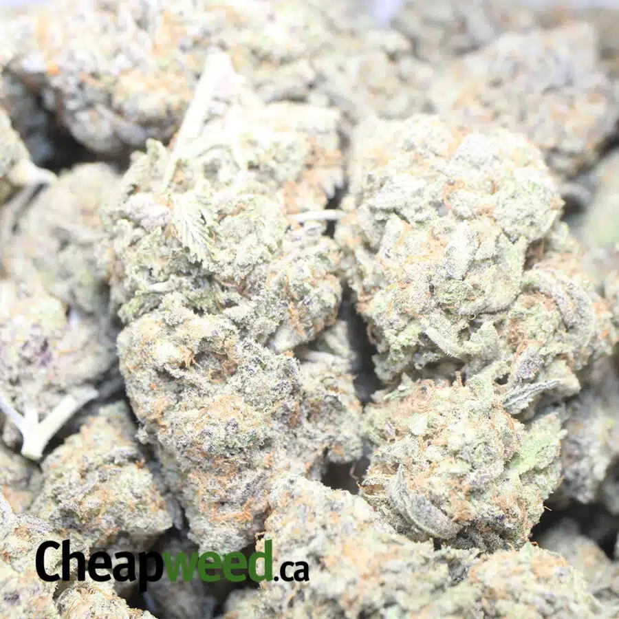 FRUIT POP 1 I $59oz - Fruit Pop