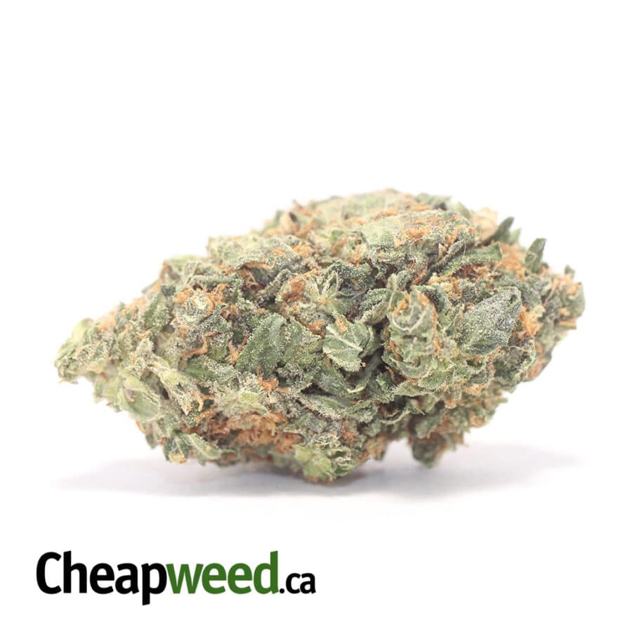 Kosher Kush