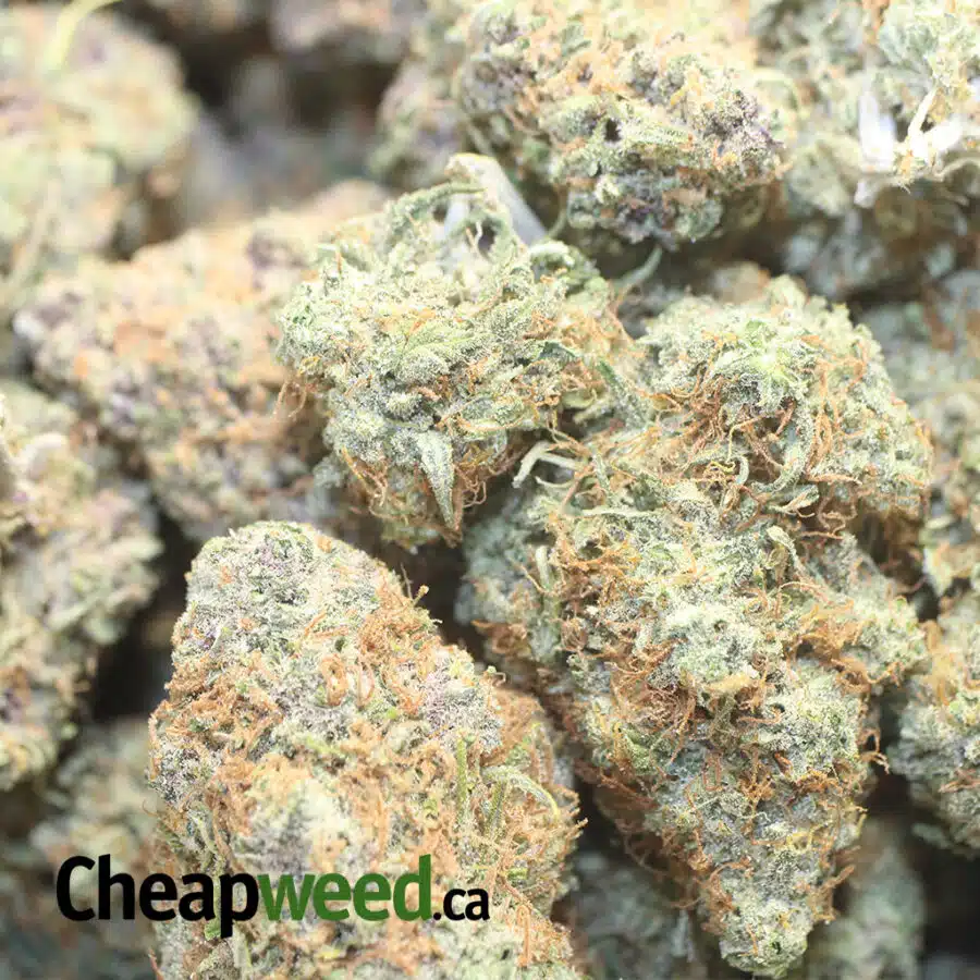 PINEAPLEE EXPRESS 1 I Pineapple Express