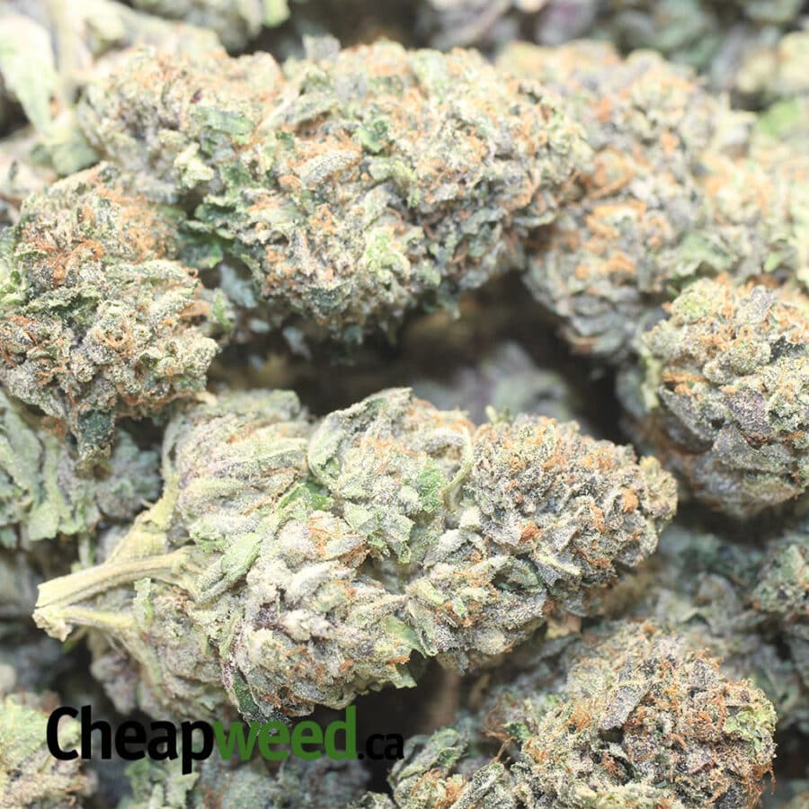 PINK OG WRECK 1 I Pink OG Wreck