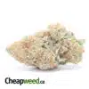 Platinum Girl Scout Cookies