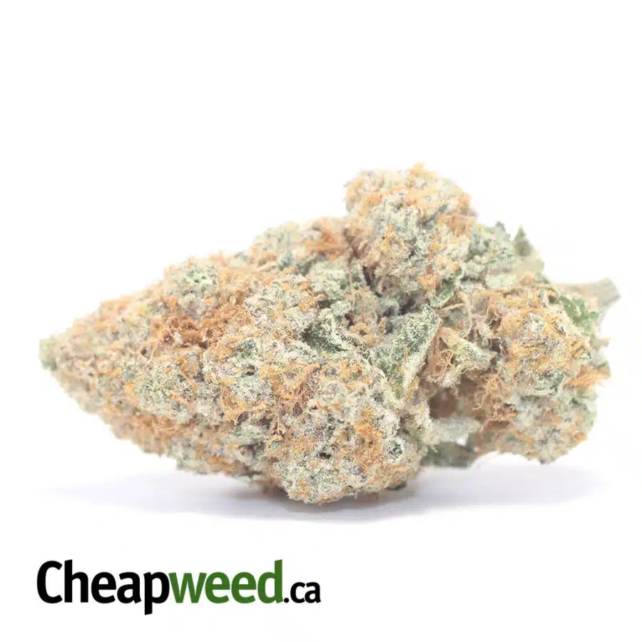 Platinum Girl Scout Cookies