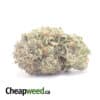 Tony's Purple Hindu Kush