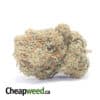 Racefuel OG - *Deal Of The Day*