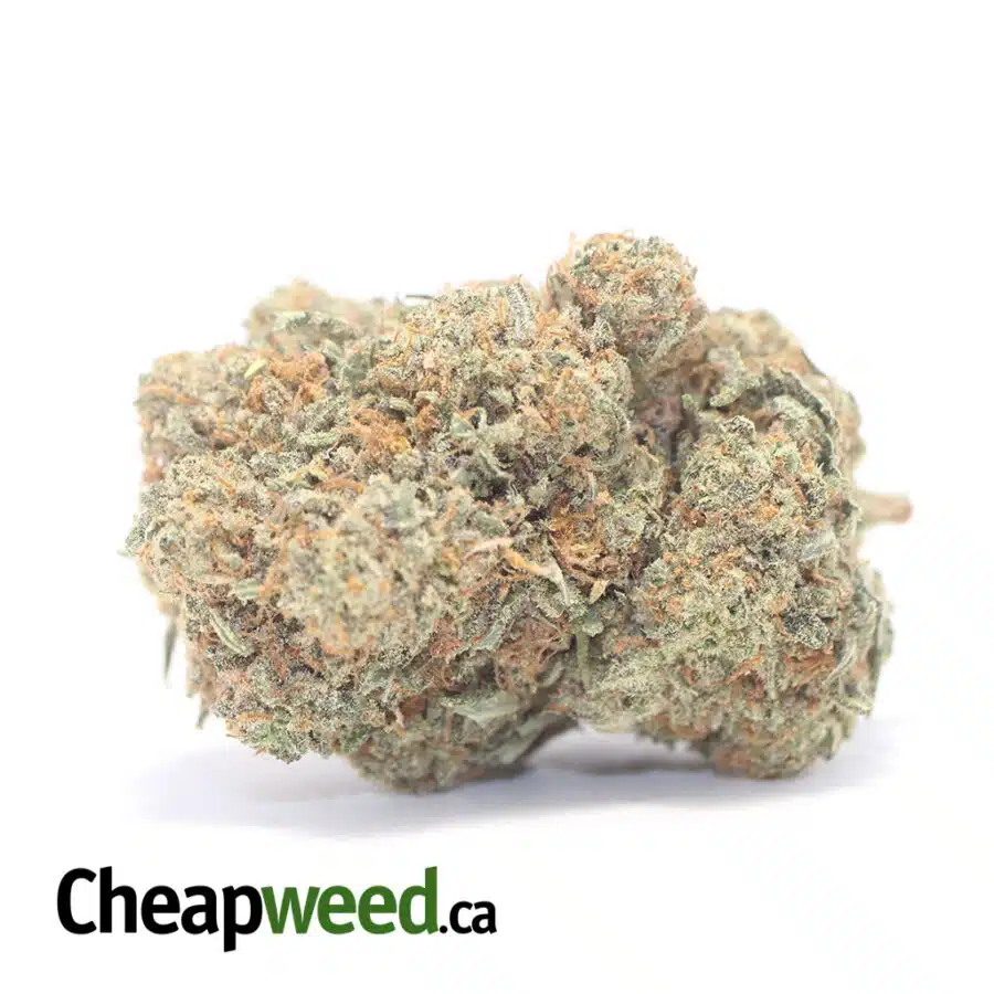 Racefuel OG - *Deal Of The Day*