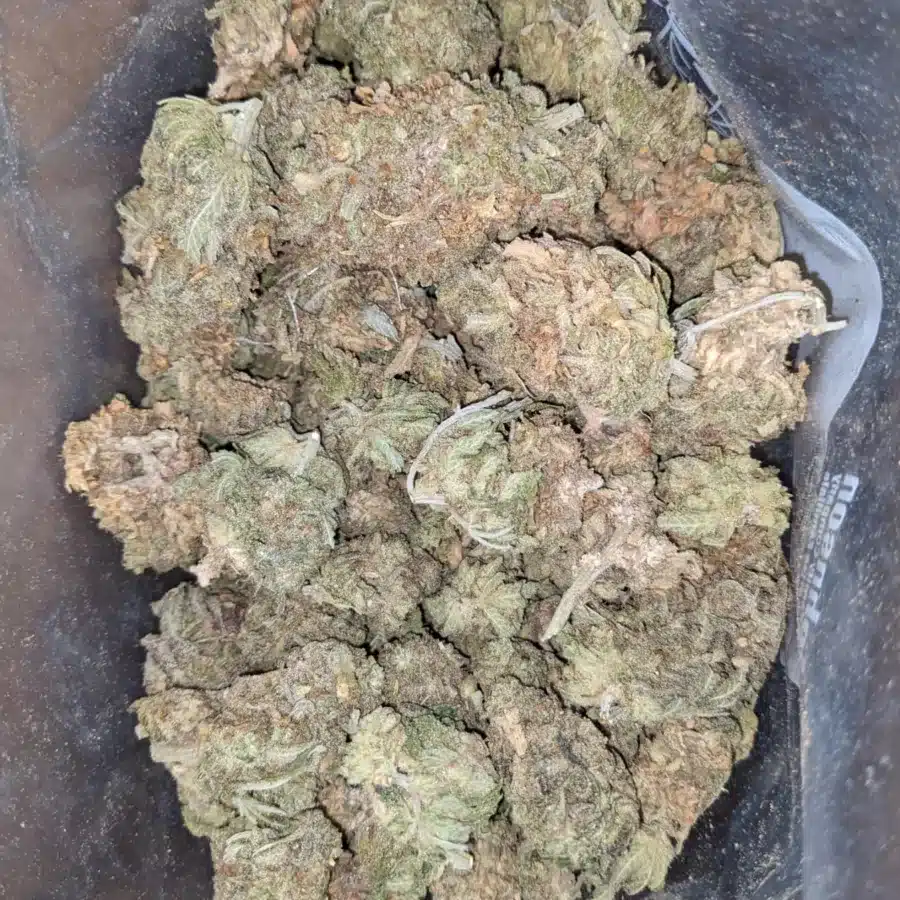 Sour Kush Bulk Special 1 1 I Sour Kush Bulk Special