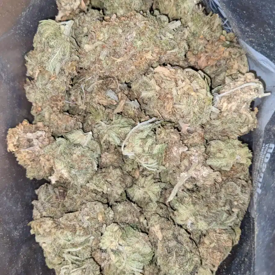 Sour Kush Bulk Special 4 1 I Sour Kush Bulk Special