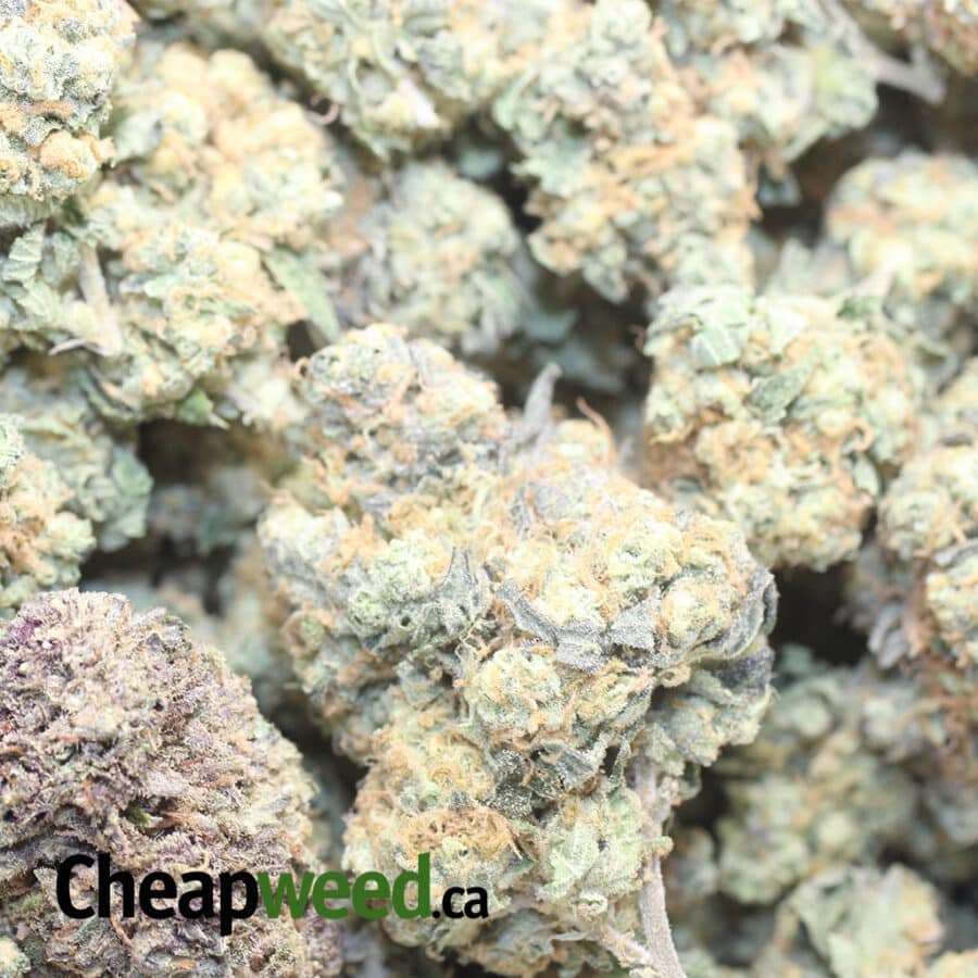 TANG DREAMS 1 I Tangerine Dream