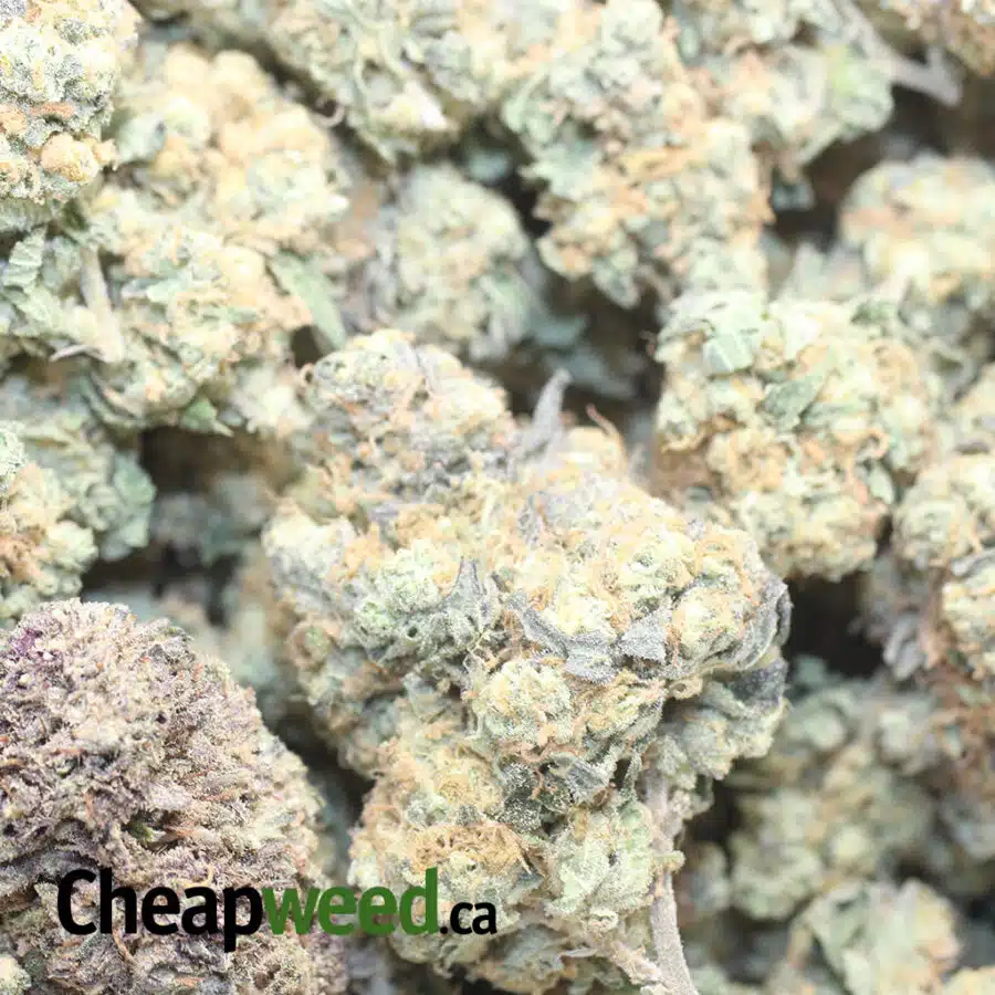 TANG DREAMS 1 I Tangerine Dream