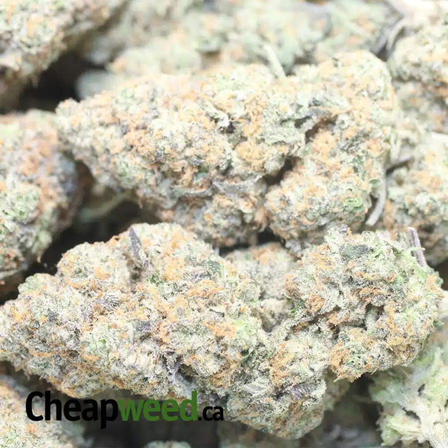TONY KEROSENE COOKIES 1 I West Coast Diesel
