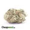 Emma's Pink Bubba